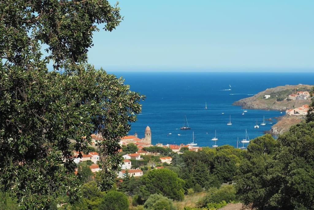 Villa Collioure Mar I Munt Екстериор снимка