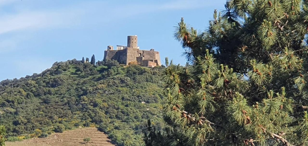 Villa Collioure Mar I Munt Екстериор снимка